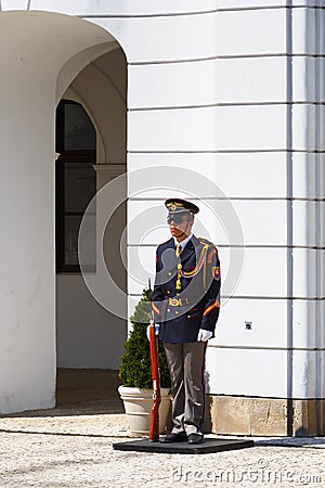 Honour guard. Editorial Stock Photo