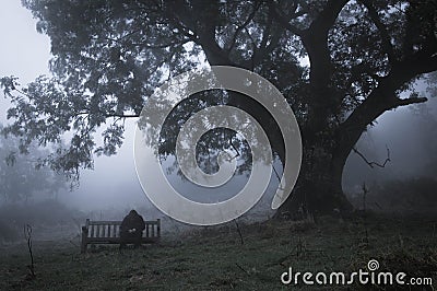 A hooded man sitting on a bench in the countryside on a foggy, moody day. With a muted, grainy edit Stock Photo