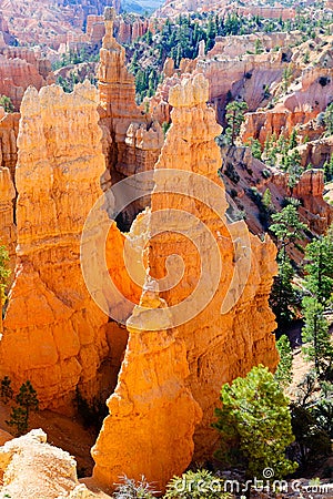 Hoodoos in Bryce Canyon NP Stock Photo