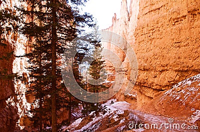 The Hoodoos, Bryce Canyon, Utah, USA Stock Photo