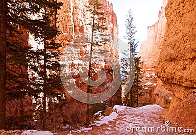 The Hoodoos, Bryce Canyon, Utah, USA Stock Photo