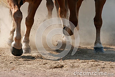 Hoof Dust Stock Photo