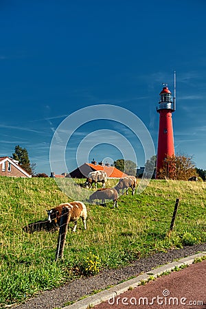 Hook of Holland lighthouse in Port of Rotterdam Stock Photo