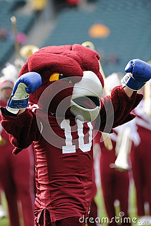 Hooter - the Temple University Owls mascot Editorial Stock Photo