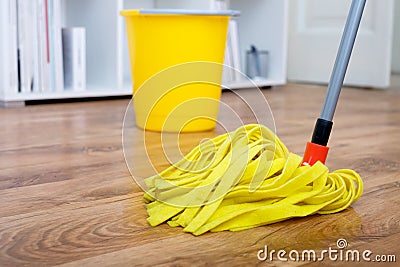 Hoovering a parquet floor Stock Photo