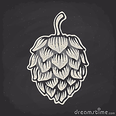 Hop cone silhouette on chalk board. Vector illustration. Beer, pub and alcoholic beverage symbol Vector Illustration