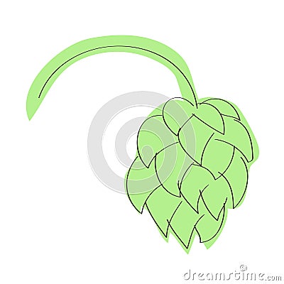 Hop cone on white background Vector Illustration