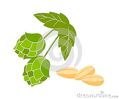 Hop cones and malt flat vector illustration Vector Illustration