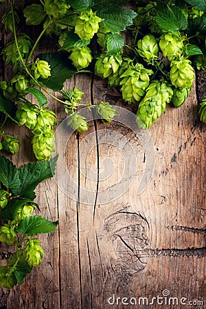 Hop twig over old wooden cracked table background. Beer production ingredient. Brewery concept Stock Photo
