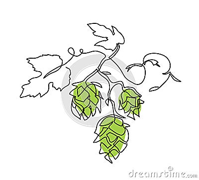 Hop twig vector sketch. One continuous line art drawing of green cones. Branch of hops, minimalist art illustration Vector Illustration