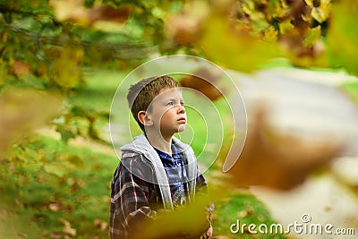 Hope and dreams. Little boy full of hope for bright future. Little boy daydreaming in garden. I do hope Stock Photo