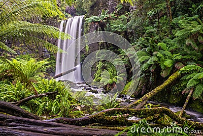 Hopetoun falls in a lush green rainforest. Stock Photo