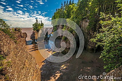 Hopewell Rocks Stock Photo