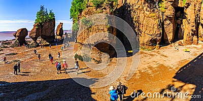 Hopewell Rocks Park, New Brunswick, Canada. Editorial Stock Photo