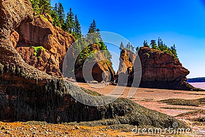 Hopewell Rocks Park, New Brunswick, Canada. Stock Photo