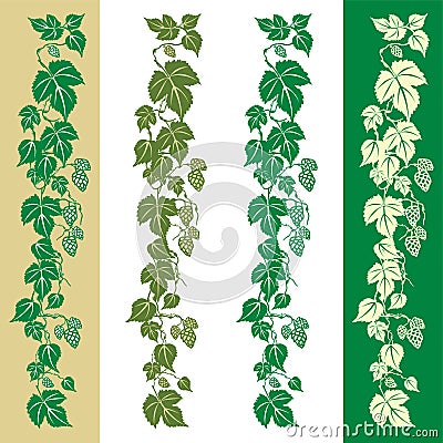 Hops plant Vector Illustration