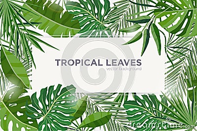 Horizontal background with green tropical leaves of jungle trees. Elegant backdrop decorated with frame made of foliage Vector Illustration