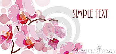Horizontal background with red orchids Vector Illustration