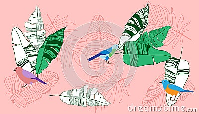 Horizontal banner with beautiful tropical leaves and colorful birds. Design for posters, postcards, invitations, posters, Vector Illustration