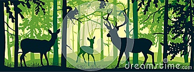 Horizontal banner of forest landscape. Deer with doe and fawn in magic misty forest. Squirrel on branch. Silhouettes of trees and Vector Illustration