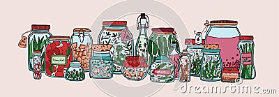 Horizontal banner with fruits, pickled vegetables and spices in jars and bottles hand drawn on white background Vector Illustration