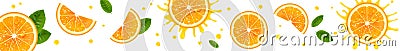 Horizontal Banner with Juicy Orange Slices Vector Illustration