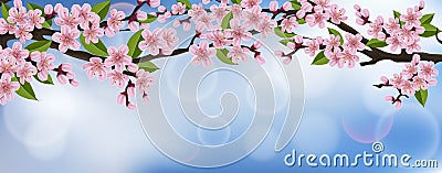 Horizontal banner with realistic cherry tree with flowers and leaves Vector Illustration