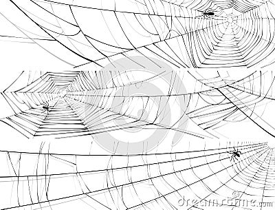 Horizontal banner of web of spider. Vector Illustration