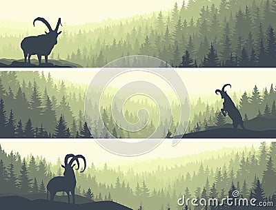 Horizontal banners of hills coniferous wood. Vector Illustration