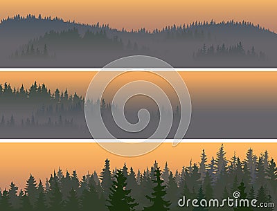 Horizontal banners of misty coniferous wood. Vector Illustration