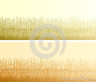 Horizontal banners silhouettes of corn field and cereal grass in front of it. Vector Illustration