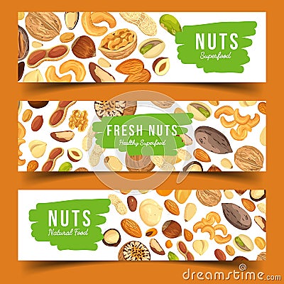 Cards with nuts food, pecan and nutmeg, hazel Vector Illustration