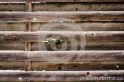 Horizontal brown wodden fence covered with snow during winter Stock Photo