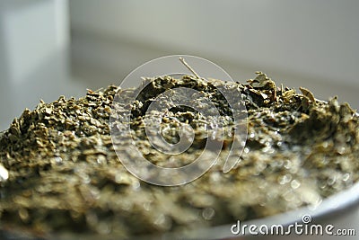 Horizontal Close-Up Of Hot Traditional South American Caffeine-Rich Infused Drink Mate In Traditional Calabash Gourd Stock Photo