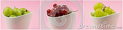 Horizontal collection of goosberries, grapes and red currants in Stock Photo