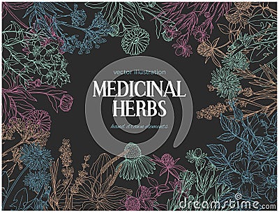 Horizontal dark card template with vintage sketches of medicinal herbs and flowe Vector Illustration