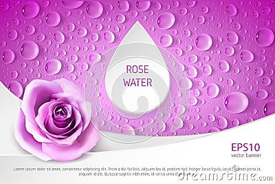 Horizontal flyer with realistic rose and drops Vector Illustration