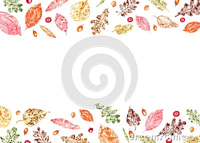 Horizontal frame of colorful autumn leaves imprints, sea buckthorn, red bilberries isolated on white background. Watercolor Cartoon Illustration