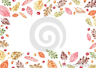 Horizontal frame of colorful autumn leaves imprints, sea buckthorn, red bilberries isolated on white background. Watercolor Cartoon Illustration