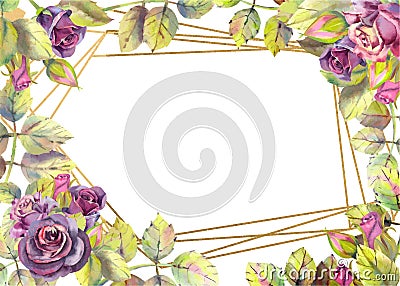 Horizontal frame with dark rose flowers. Compositions for the design of greeting cards or invitations. Vector illustration Cartoon Illustration