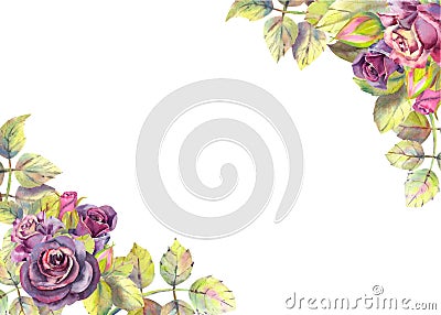 Horizontal frame with dark rose flowers. Compositions for the design of greeting cards or invitations. Vector illustration Cartoon Illustration