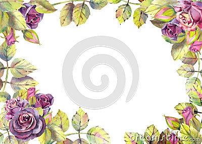 Horizontal frame with dark rose flowers. Compositions for the design of greeting cards or invitations. Vector illustration Cartoon Illustration