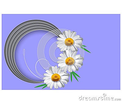 Horizontal greeting card template with daisy flower vector illustration Vector Illustration