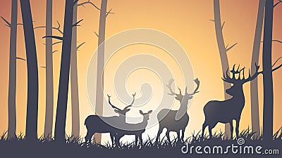 Horizontal illustration of wild animals in wood. Vector Illustration