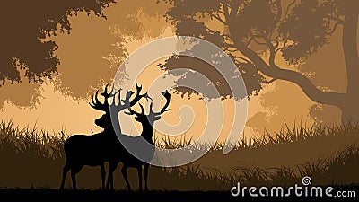 Horizontal illustration of wild animals in wood. Vector Illustration