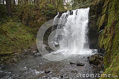 Horizontal Majestic Falls in McDowell Creek Park, Oregon Stock Photo