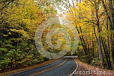 Curved Country Scenic Road Surrounded by Colorful Autumn Trees Stock Photo