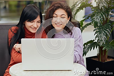 Horizontal picture of cheerful magnetic positive brunettes looking attentively at laptop screen, smiling sincerely, spending time Stock Photo