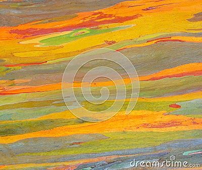 Horizontal rainbow eucalyptus tree bark Stock Photo