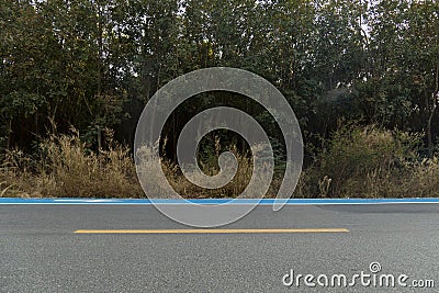 The horizontal road with grassy pastures and rubber forest. Stock Photo